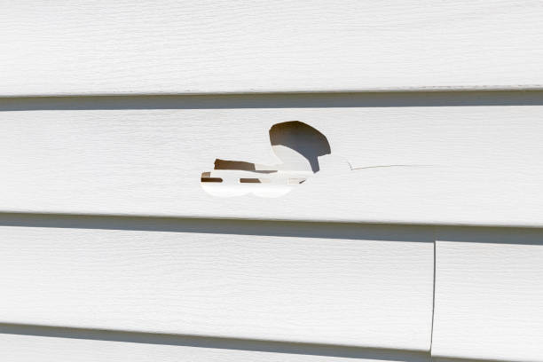 Best Appliance Removal  in Panguitch, UT